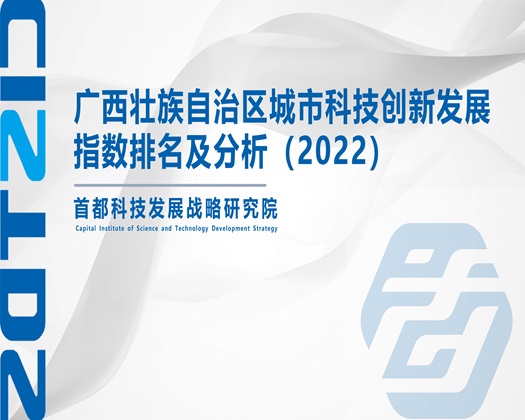 啊啊干【成果发布】广西壮族自治区城市科技创新发展指数排名及分析（2022）